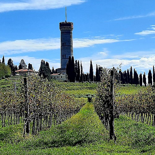 Lake Garda Tours è anche Agenzia di Viaggi / Tour Operator. Viaggi personalizzabili secondo i vostri desideri